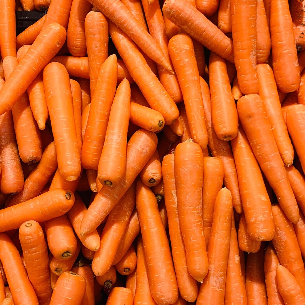 Carrot